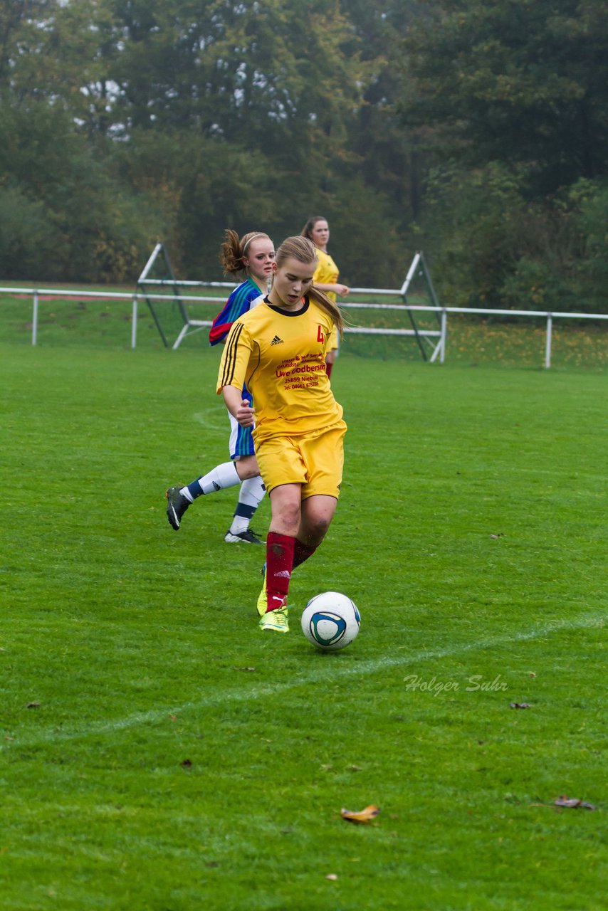 Bild 252 - B-Juniorinnen SV Henstedt Ulzburg - JSG Sdtondern : Ergebnis: 1:3